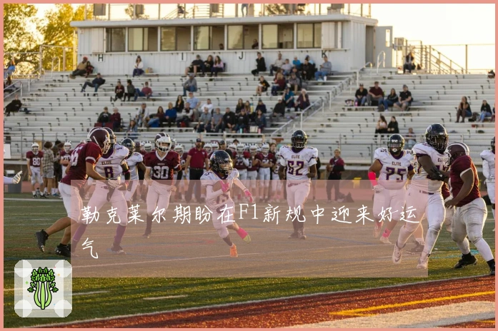 勒克莱尔期盼在F1新规中迎来好运气