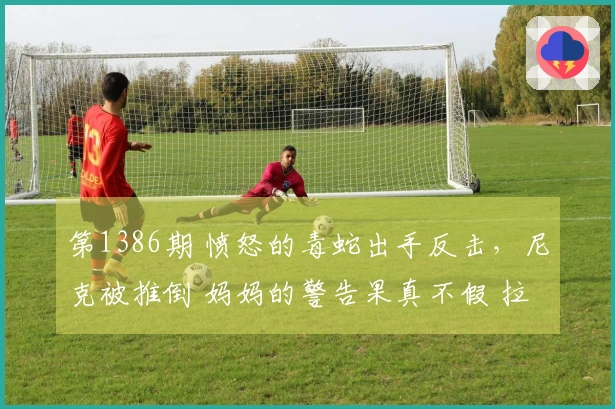 第1386期 愤怒的毒蛇出手反击，尼克被推倒 妈妈的警告果真不假 拉架必遭殃